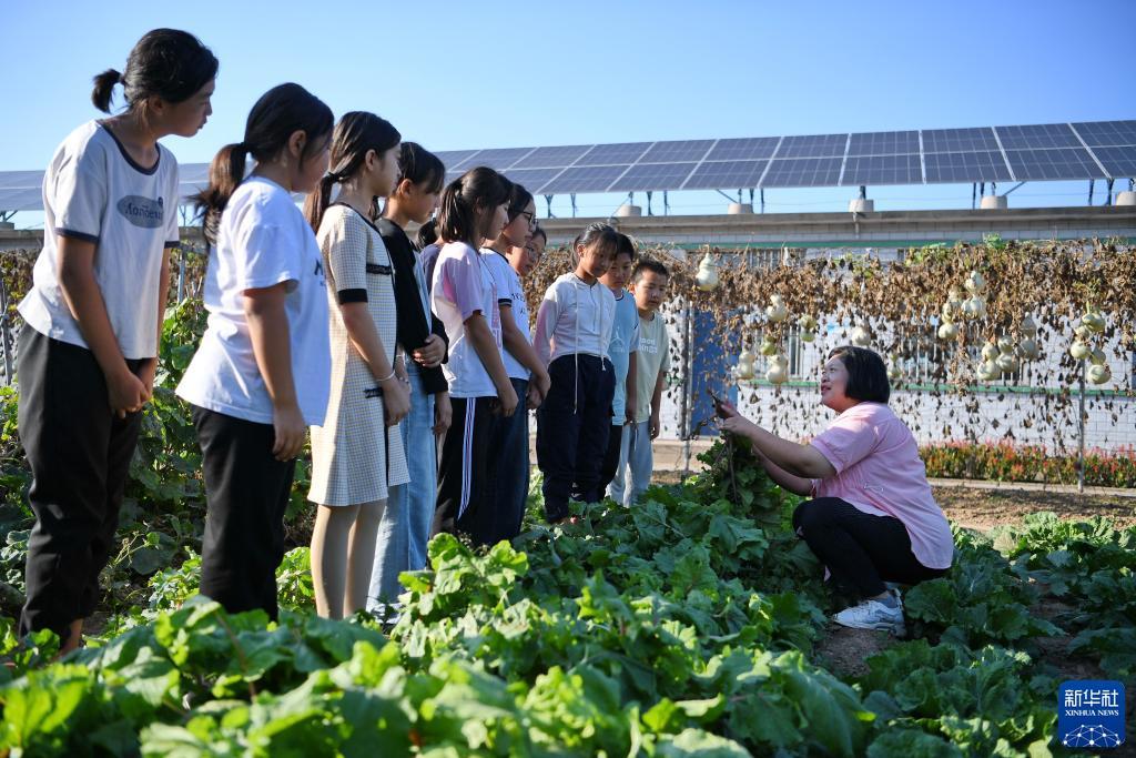 奥门新浦京游戏怎么样